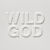 Nick Cave & The Bad Seeds Wild God